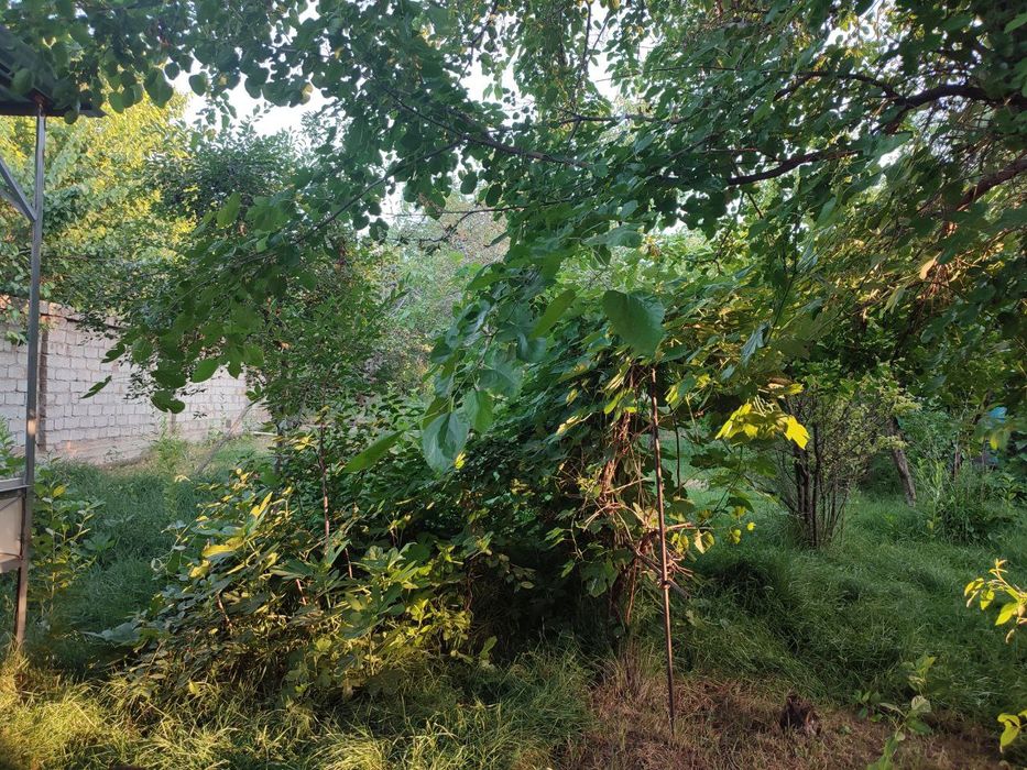 Продается дача в Майском