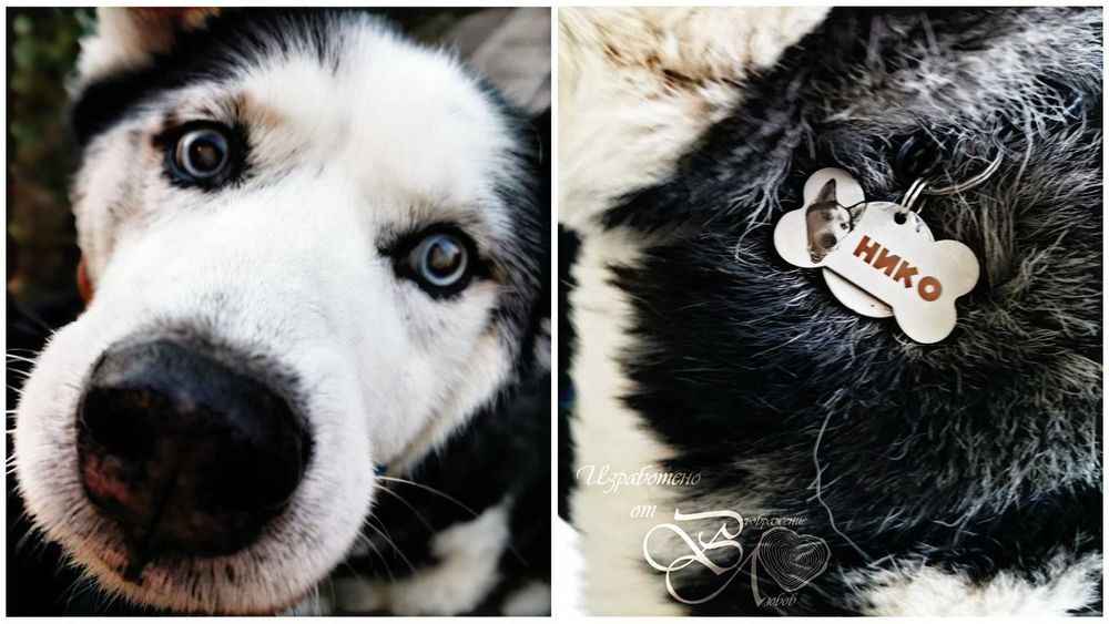 Гравиране Върху Метал. Ключодържател, Медальон