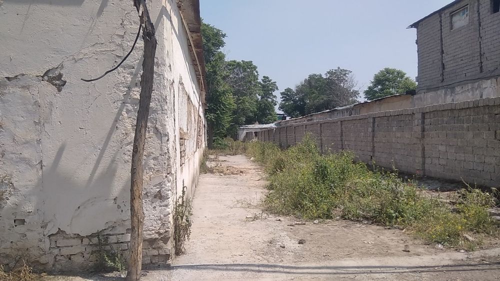 Сотилади 56 сотук