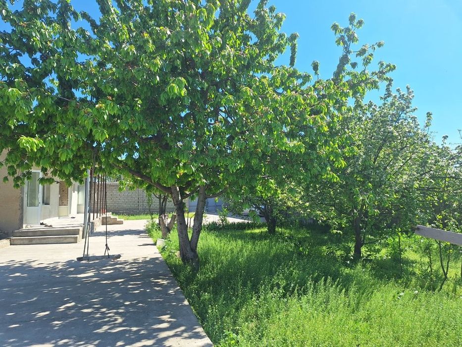 Ijara, ijara oilaga 1 xonali hovli