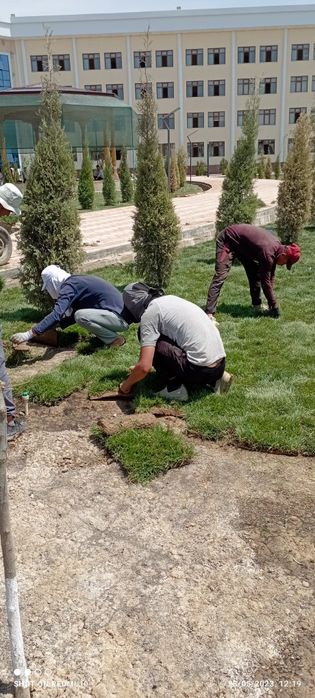 Ruloniy gazon ekish xizmati