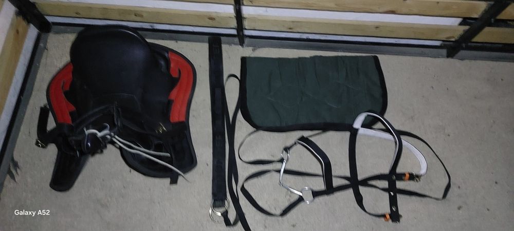 Ер тоқым сатылады