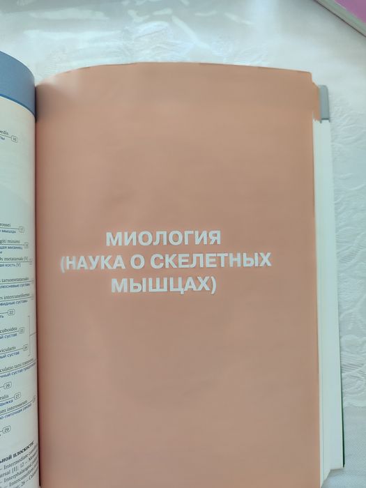 Анатомия человека Атлас