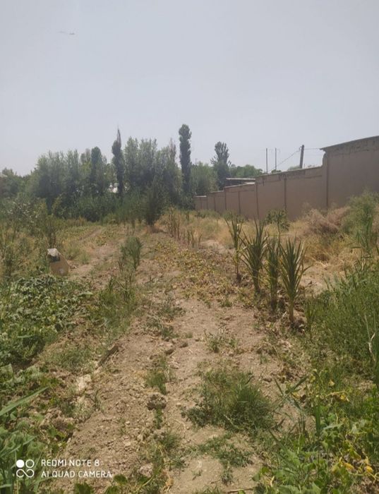 Nazarbek tekistilda yer sotiladi