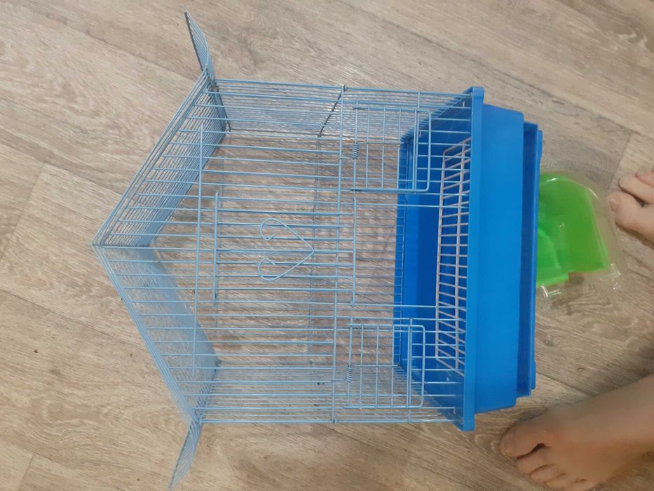 Волнистый попугай с клеткой