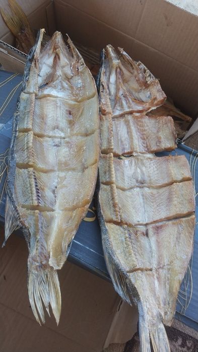 Арзан Капчони балық