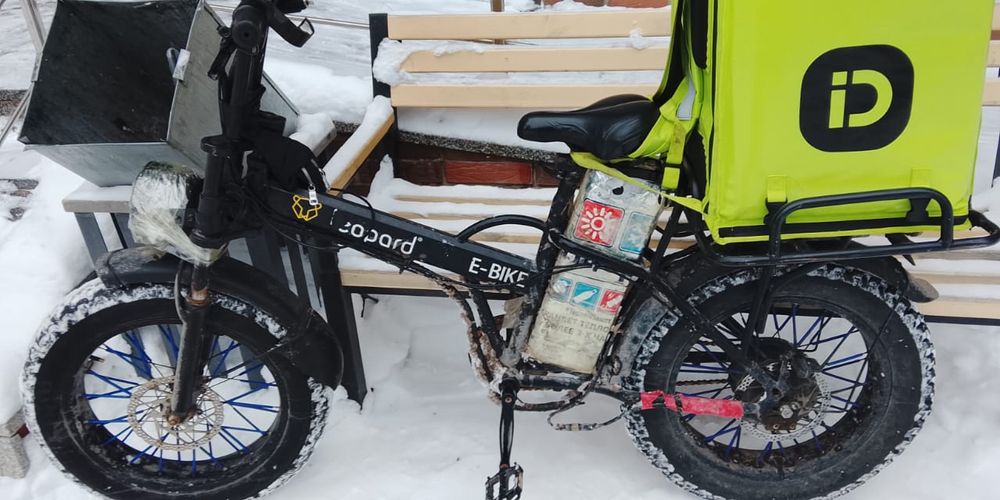 Электровелик леопард