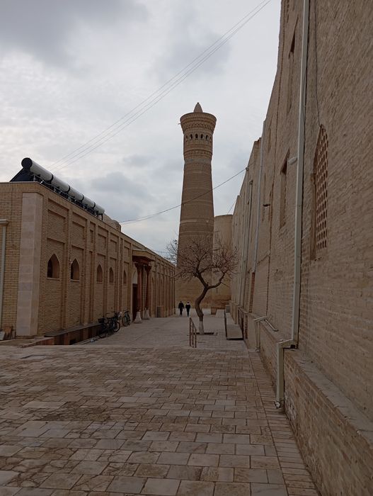 Горячие авто Туры по Джизакской гори "ЗАМИН" , Самарканду и Бухару