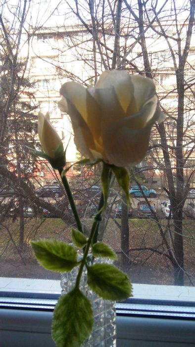 Изкуствена роза пластмасова винтидж