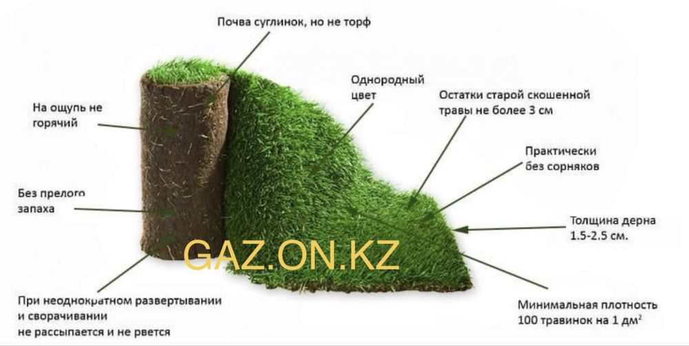 Рулонные газонн