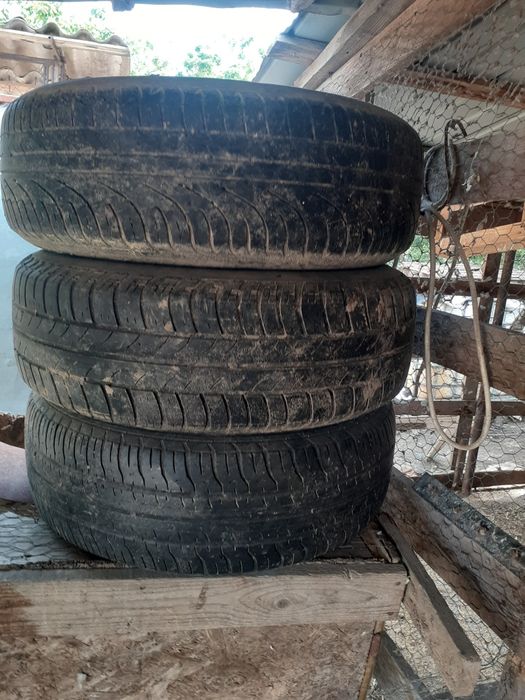 Genti aliaj in 4 prezoane