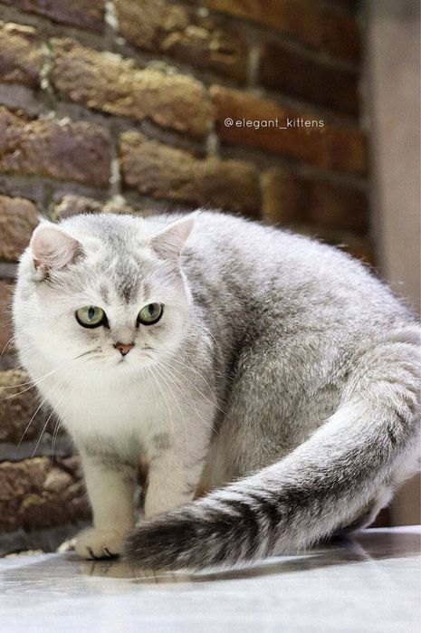 Xususiy porno mmf uy vazifasi video tomosha mmf