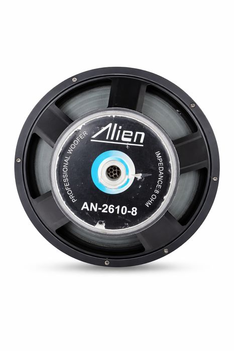 Difuzor Woofer Profesional Alien AN-2610-8, 10 inch, 8 Ohm - NOU
