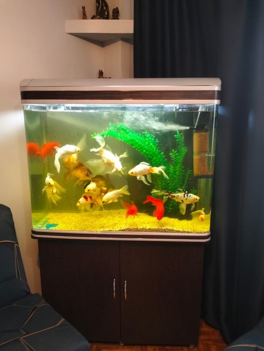 Аквариум с полкой