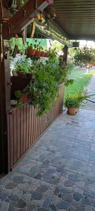 Vând casa în Craiova