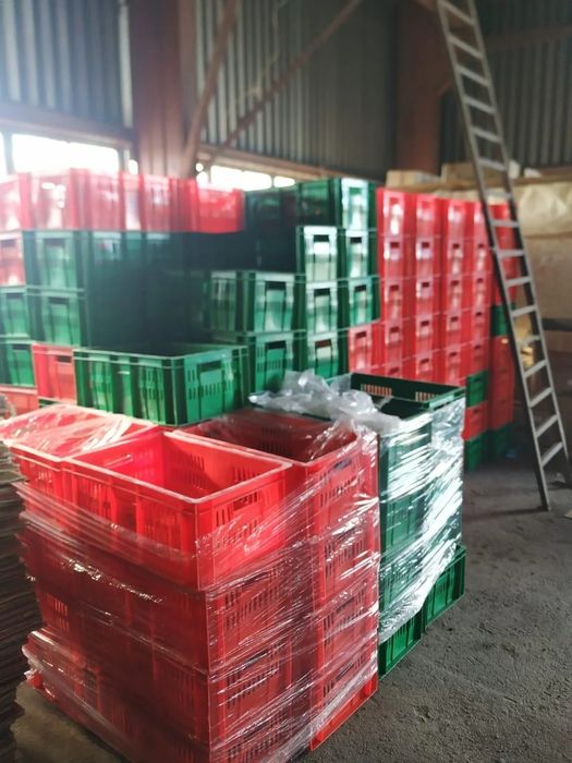 Куплю пластиковые отходы,