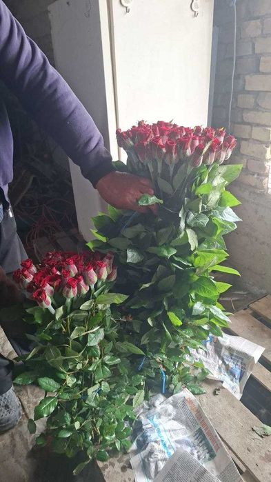 Atirgul роза Sotiladi Optom Navoiydan Barcha viloyatlarga dostavka bor