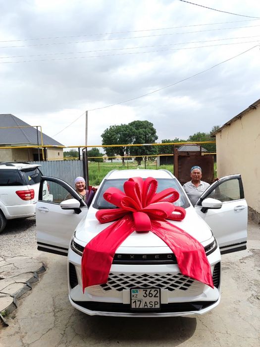 Бантик для авто