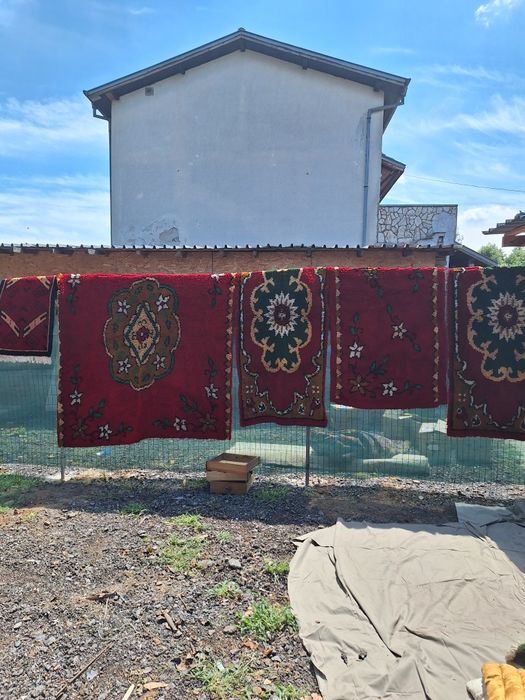 Губери/китеник вълнени