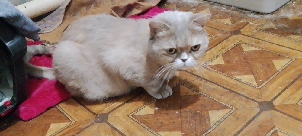 Девочка 1 год)))
