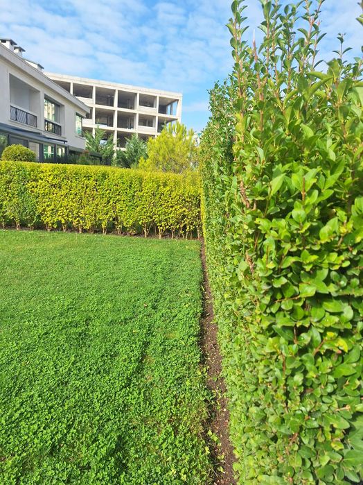 Градинарски услуги