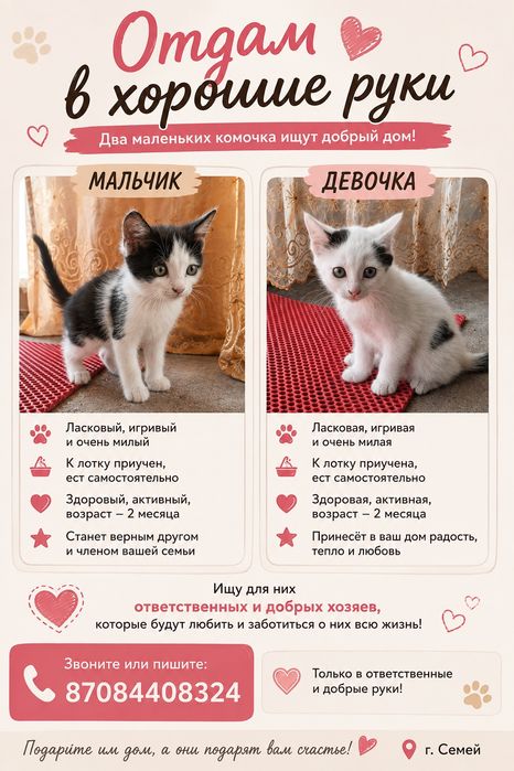 отдам в хорошие руки