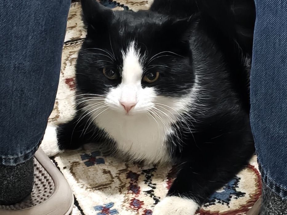 Продам Oppo Find X8