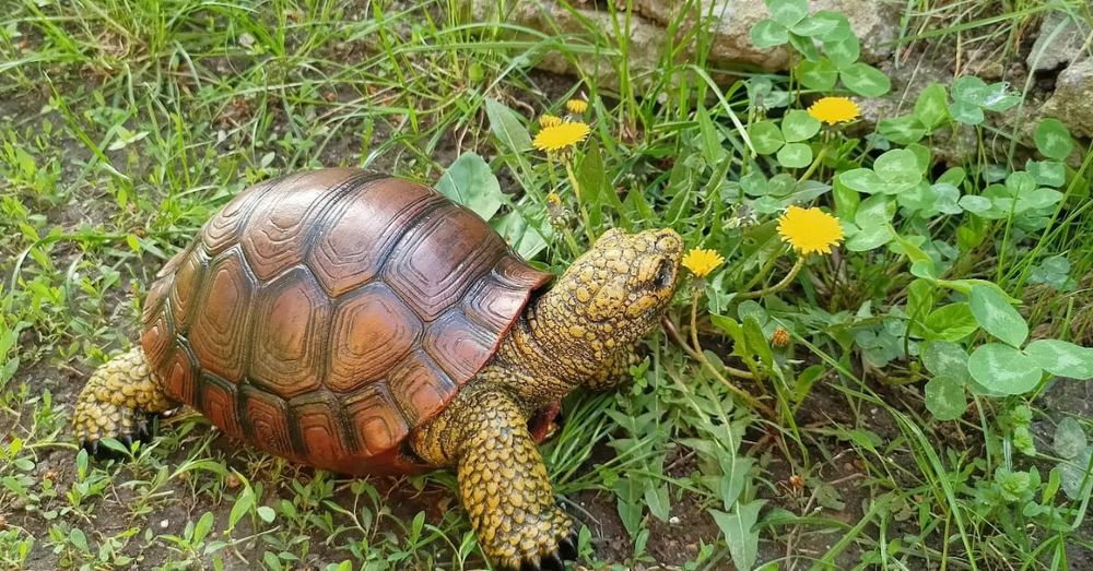 Черепаха садовая фигура