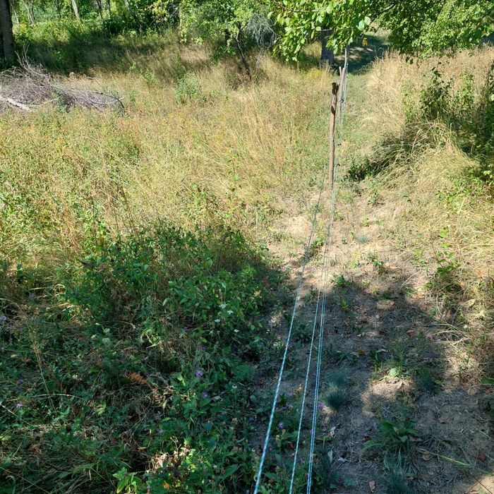 Teren de Vanzare comuna Berislavesti, Sat Bradisor