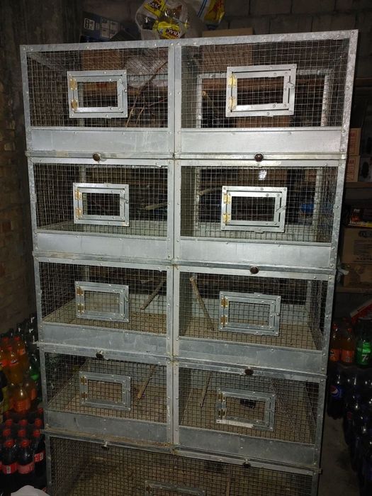 Кафас кушлар учун.