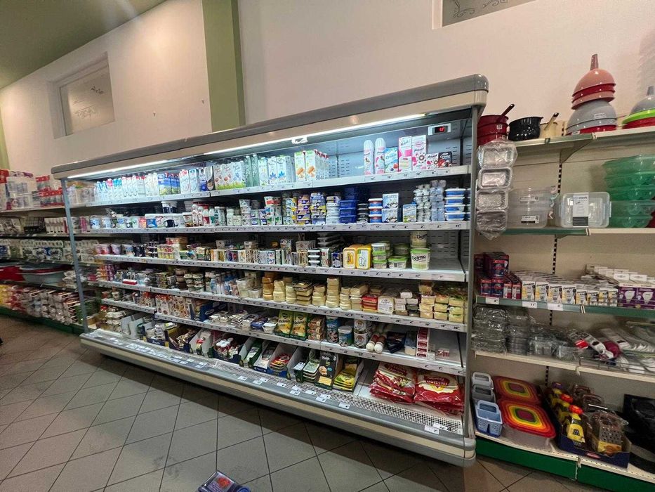 Vitrina lactate mezeluri fructe Arneg