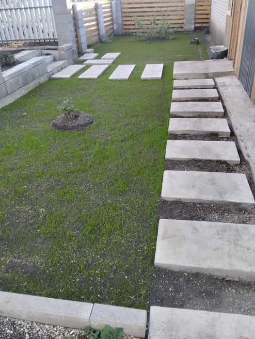 Посев газона и саженцы