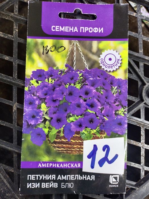 Продам рассаду ампельной петунии.