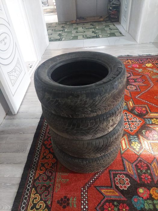 Зимние балон 195