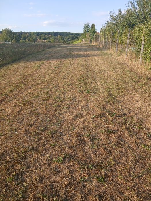 Teren priveliște de vis  situat in  Tropinii vechi-extravilan