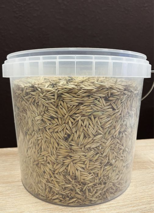 Овёс от производителя