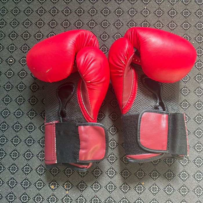 Боксови ръкавици Everlast Elite(with ever shield)