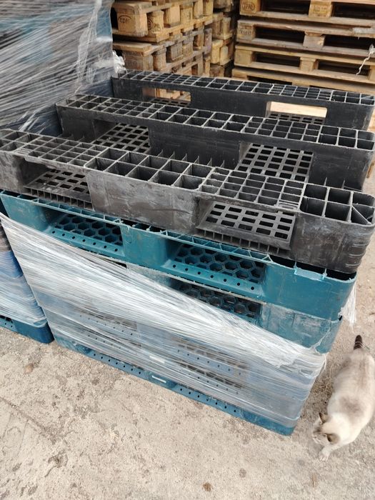 Продам пластиковые поддоны