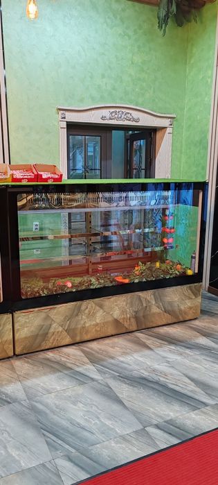 Xolodelnik. Gosht uchun perojni uchun veterina xolodelnik