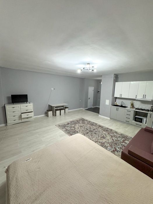 1-ком/посуточно