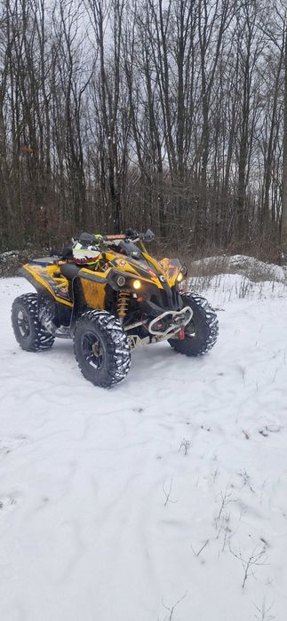 Can am renegade 800