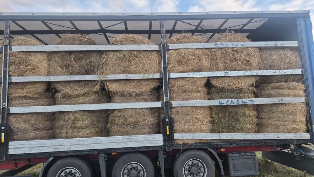 Baloti fan sau Lucerna Rotunzi 1,2 m x 1,2 m Transport inclus RO HU
