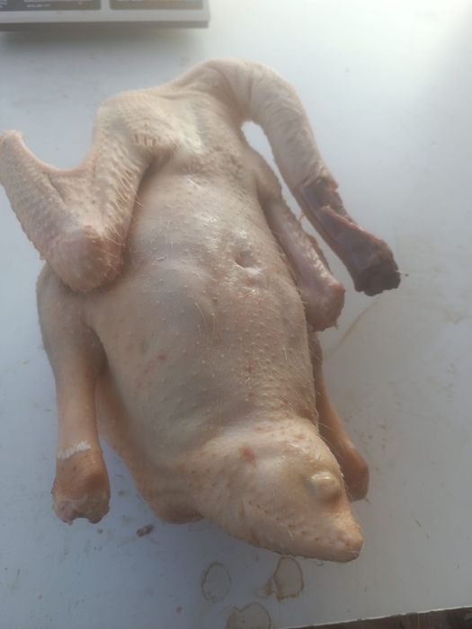 Очищенные Гуси и утки