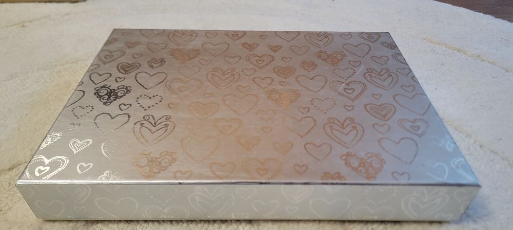 Album foto de nuntă Debenhams – nou, în cutie