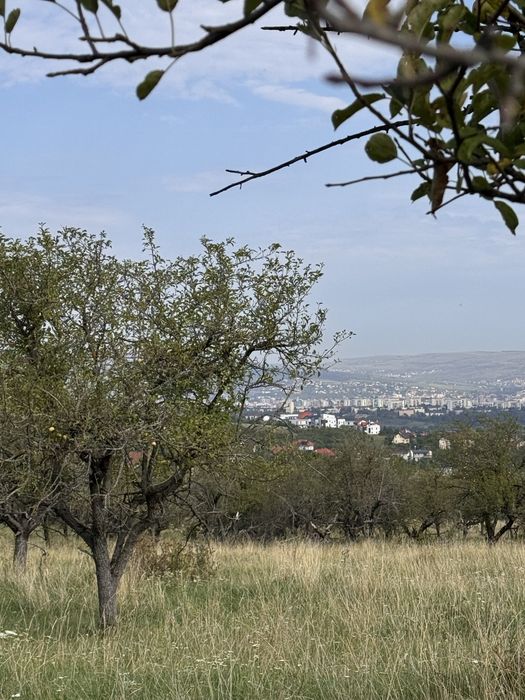 Teren extravilan de vânzare – 2.800 mp | Livada Palocsay, Borhanci