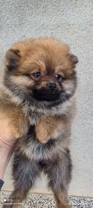 Момчета и момичета