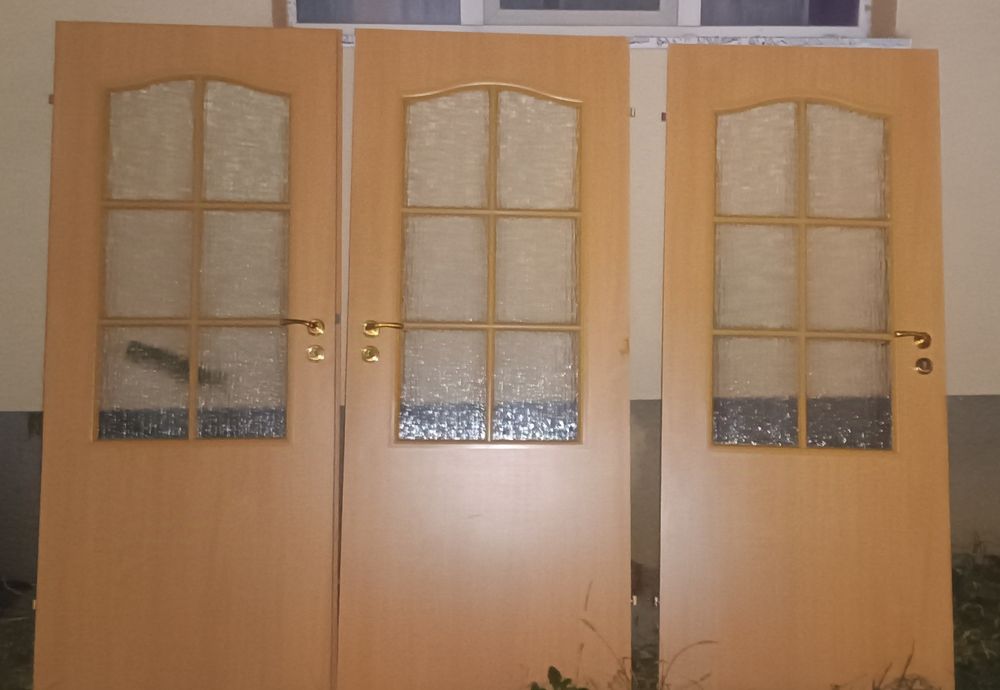 Usă din lemn, capitonată și 4 uși de interior