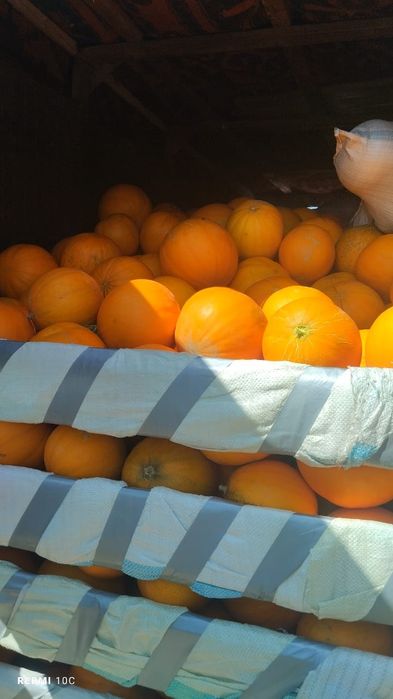 Семена Бакинка колхозница выши сорт