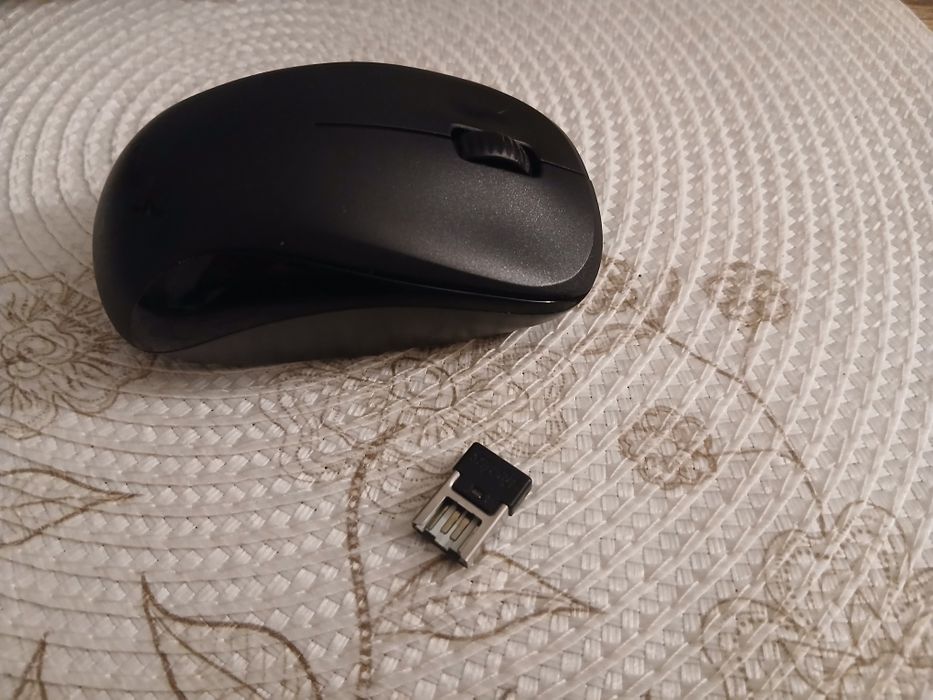 Mouse  wireless.