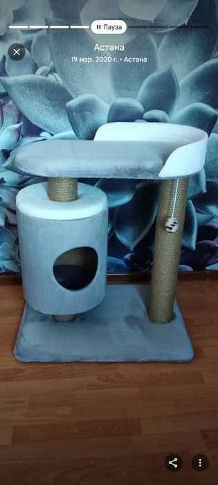 Домики для кошек